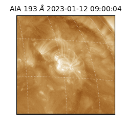 saia - 2023-01-12T09:00:04.840000