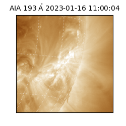 saia - 2023-01-16T11:00:04.843000