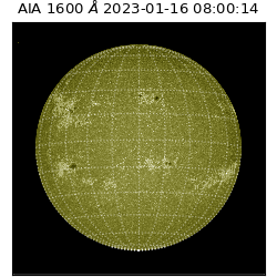 saia - 2023-01-16T08:00:14.130000