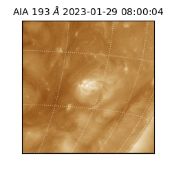 saia - 2023-01-29T08:00:04.850000
