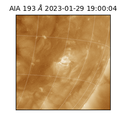 saia - 2023-01-29T19:00:04.840000
