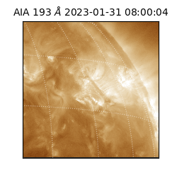 saia - 2023-01-31T08:00:04.840000