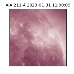 saia - 2023-01-31T11:00:09.630000