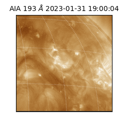 saia - 2023-01-31T19:00:04.840000