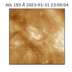 saia - 2023-01-31T23:00:04.840000