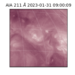 saia - 2023-01-31T09:00:09.620000