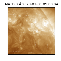 saia - 2023-01-31T09:00:04.830000