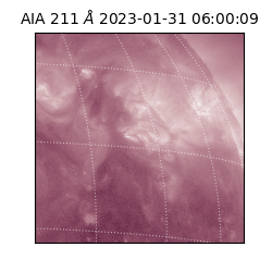 saia - 2023-01-31T06:00:09.630000