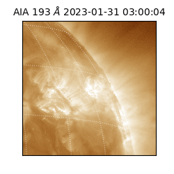 saia - 2023-01-31T03:00:04.840000
