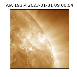 saia - 2023-01-31T09:00:04.830000