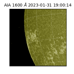 saia - 2023-01-31T19:00:14.130000