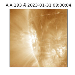 saia - 2023-01-31T09:00:04.830000