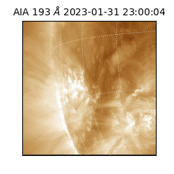saia - 2023-01-31T23:00:04.840000