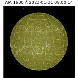 saia - 2023-01-31T08:00:14.130000