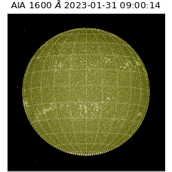 saia - 2023-01-31T09:00:14.120000