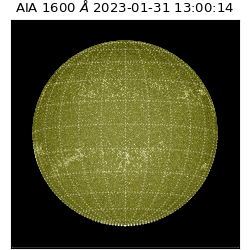 saia - 2023-01-31T13:00:14.130000