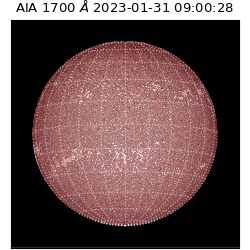 saia - 2023-01-31T09:00:28.750000