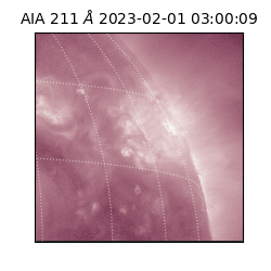 saia - 2023-02-01T03:00:09.630000