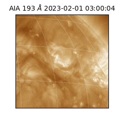 saia - 2023-02-01T03:00:04.840000