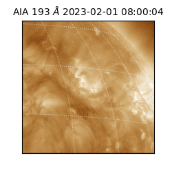 saia - 2023-02-01T08:00:04.830000
