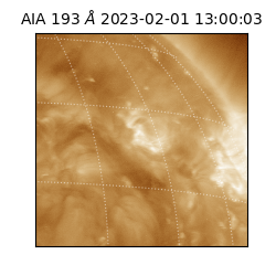 saia - 2023-02-01T13:00:03.470000