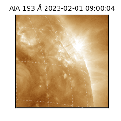 saia - 2023-02-01T09:00:04.840000