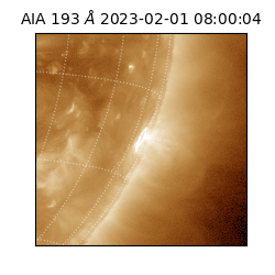 saia - 2023-02-01T08:00:04.830000