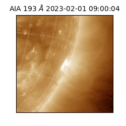 saia - 2023-02-01T09:00:04.840000
