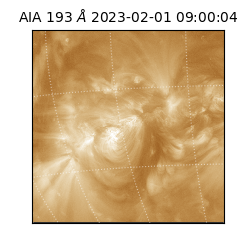 saia - 2023-02-01T09:00:04.840000