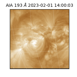 saia - 2023-02-01T14:00:03.470000
