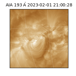 saia - 2023-02-01T21:00:28.843000