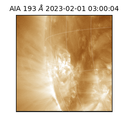 saia - 2023-02-01T03:00:04.840000