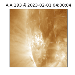 saia - 2023-02-01T04:00:04.840000