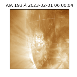 saia - 2023-02-01T06:00:04.840000