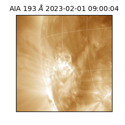 saia - 2023-02-01T09:00:04.840000