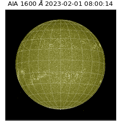 saia - 2023-02-01T08:00:14.120000