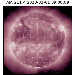saia - 2023-02-01T09:00:09.630000