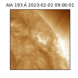 saia - 2023-02-02T09:00:01.468000