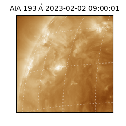 saia - 2023-02-02T09:00:01.468000