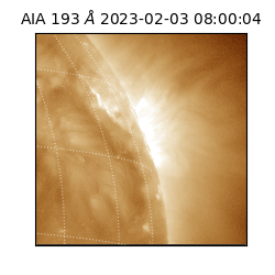 saia - 2023-02-03T08:00:04.840000