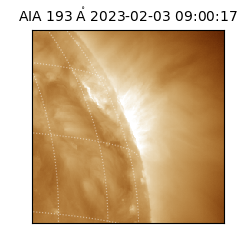saia - 2023-02-03T09:00:17.460000