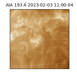 saia - 2023-02-03T11:00:04.843000