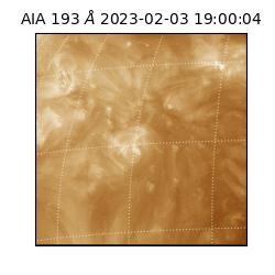 saia - 2023-02-03T19:00:04.840000