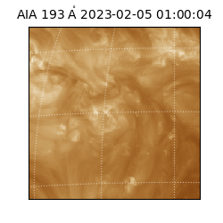saia - 2023-02-05T01:00:04.843000