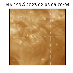 saia - 2023-02-05T09:00:04.835000
