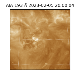 saia - 2023-02-05T20:00:04.840000