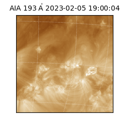 saia - 2023-02-05T19:00:04.843000