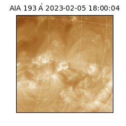 saia - 2023-02-05T18:00:04.843000