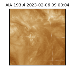 saia - 2023-02-06T09:00:04.840000