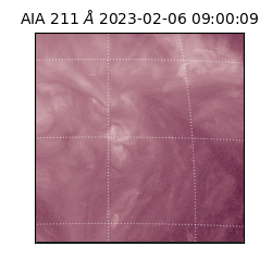 saia - 2023-02-06T09:00:09.630000